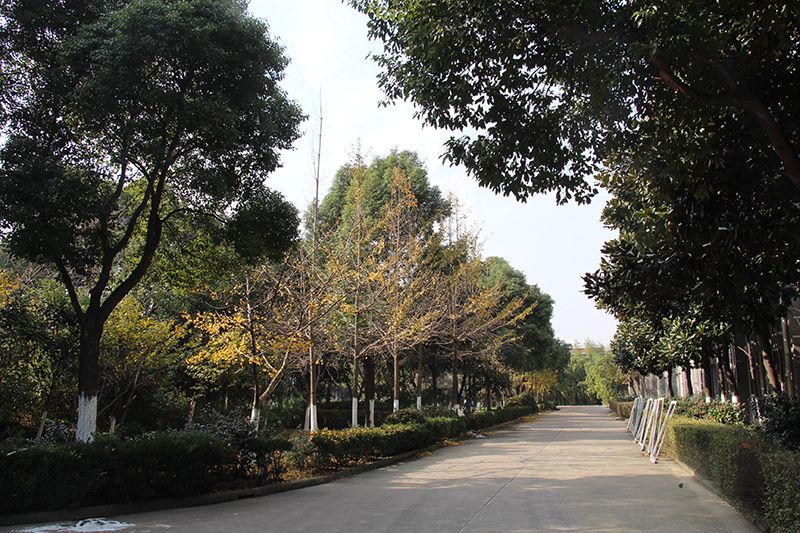 厂区环境